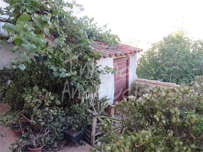 Image No.13-Maison de 3 chambres à vendre à Martos