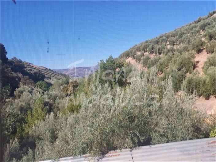 Image No.14-6 Bed Farmhouse for sale