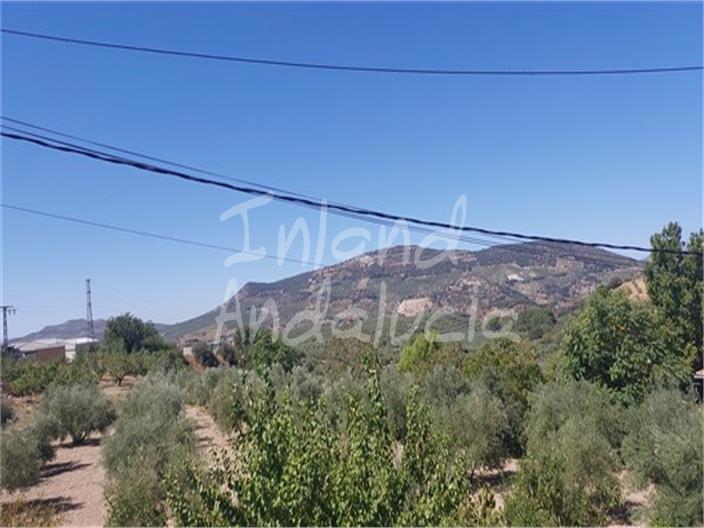 Image No.16-3 Bed House for sale