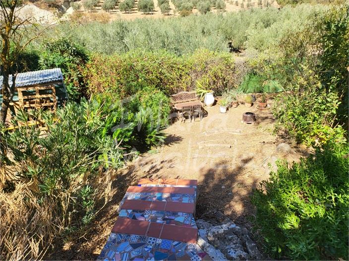 Image No.5-Ferme de 4 chambres à vendre à Antequera