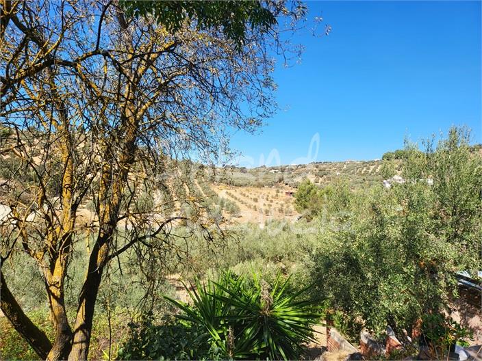 Image No.6-Ferme de 4 chambres à vendre à Antequera
