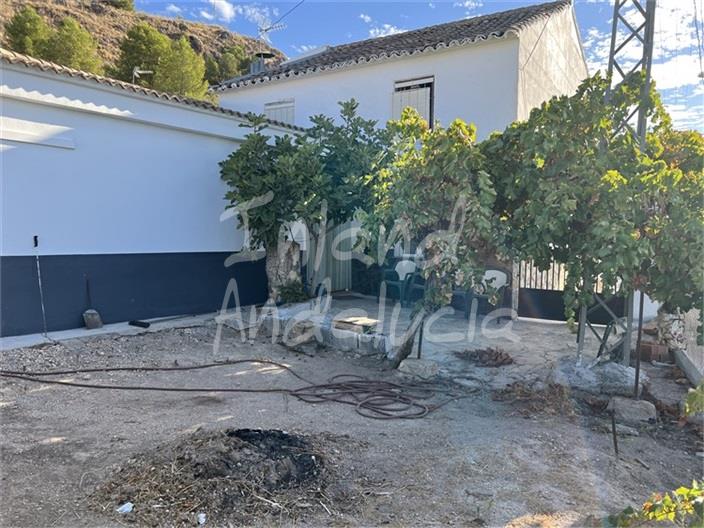 Image No.5-4 Bed House for sale