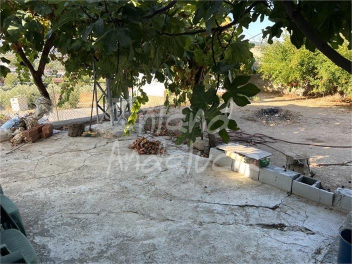 Image No.6-4 Bed House for sale