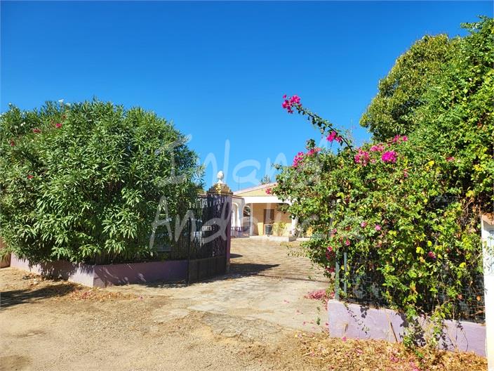 Image No.5-3 Bed Villa for sale