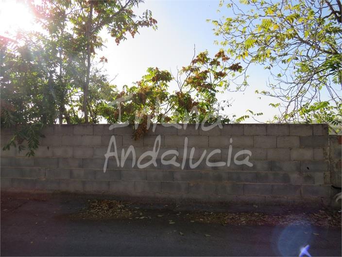 Image No.2-Land for sale