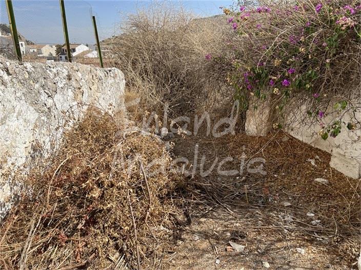 Image No.3-Maison de 4 chambres à vendre à Luque