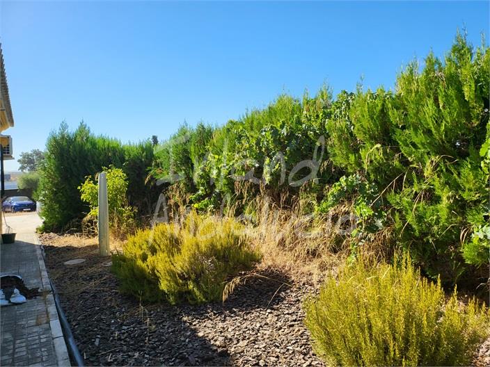 Image No.15-Villa de 4 chambres à vendre à La Puebla de Cazalla