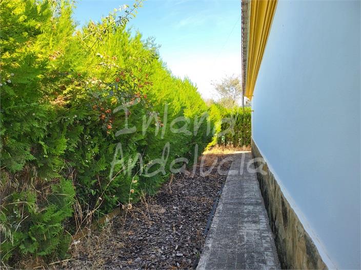 Image No.17-Villa de 4 chambres à vendre à La Puebla de Cazalla