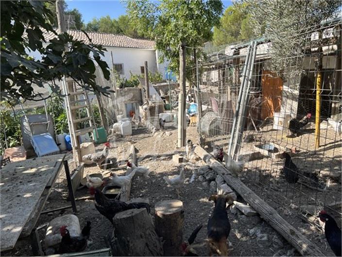 Image No.15-Maison de 5 chambres à vendre à Luque