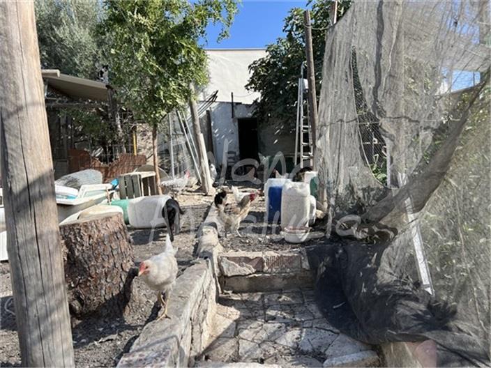 Image No.17-Maison de 5 chambres à vendre à Luque