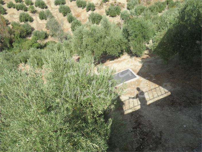 Image No.14-3 Bed Farmhouse for sale