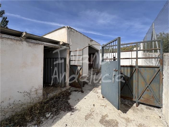 Image No.17-5 Bed Commercial for sale