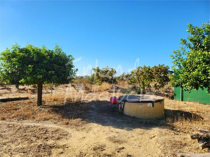 Image No.16-Villa de 3 chambres à vendre à Marchena