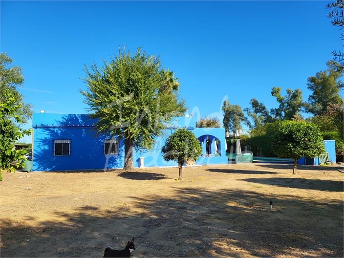 Image No.3-Villa de 3 chambres à vendre à Marchena