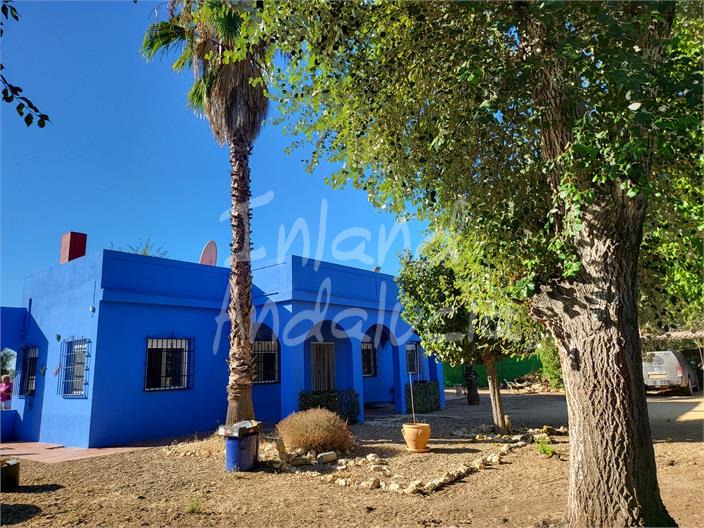 Image No.5-Villa de 3 chambres à vendre à Marchena