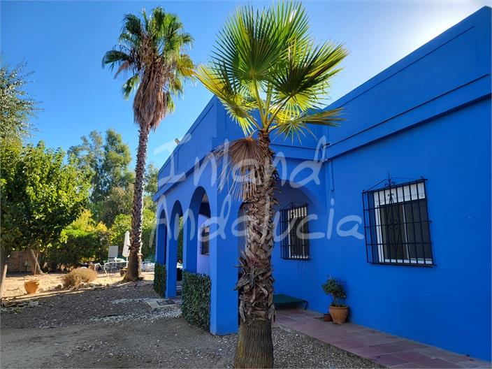 Image No.6-Villa de 3 chambres à vendre à Marchena