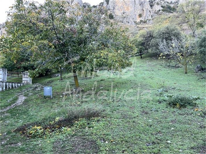 Image No.15-2 Bed House for sale