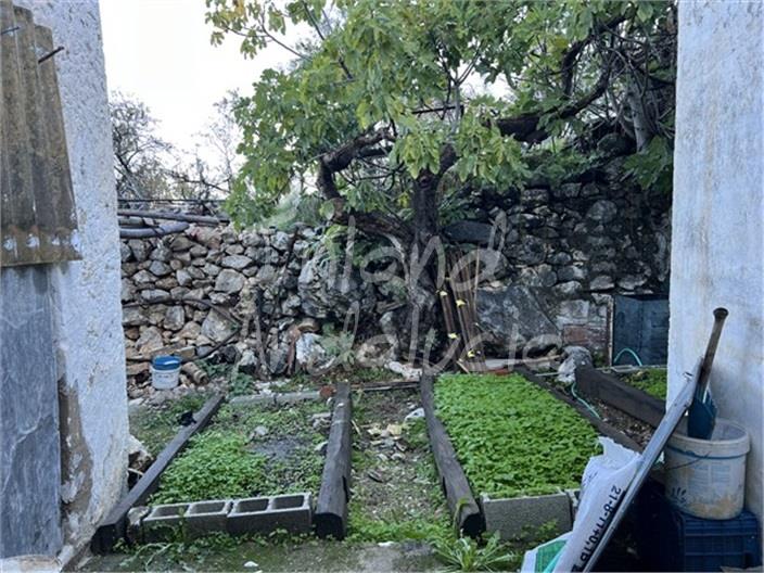 Image No.3-2 Bed House for sale