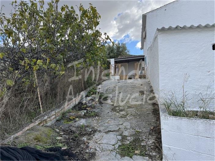 Image No.14-3 Bed House for sale