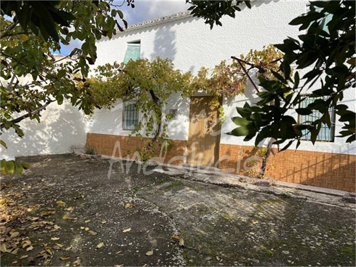 Image No.17-3 Bed House for sale