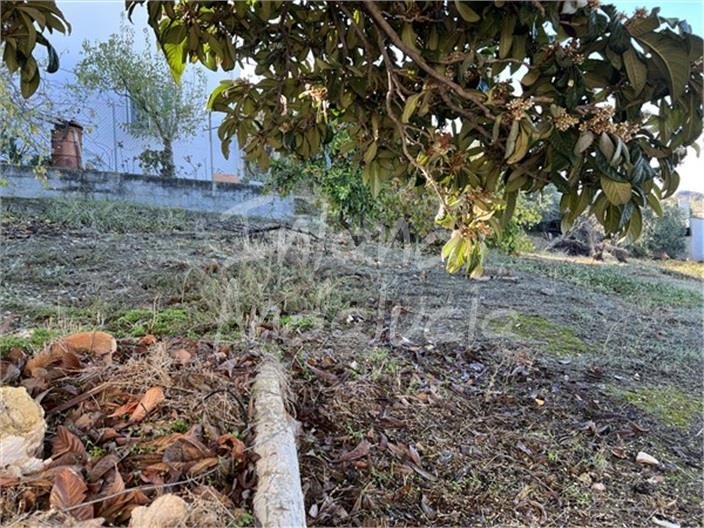 Image No.5-2 Bed House for sale