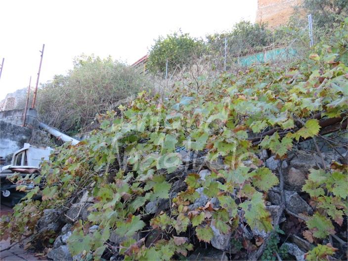 Image No.17-Maison de 3 chambres à vendre à Martos