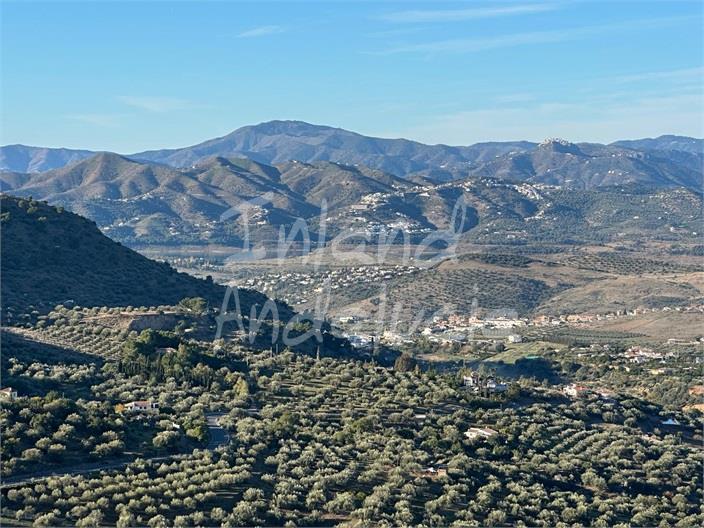 Image No.11-1 Bed Property for sale