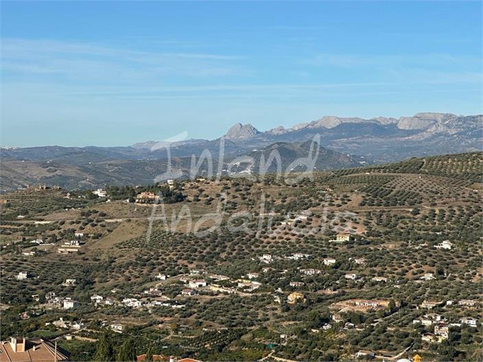 Image No.11-Propriété de 1 chambre à vendre à Alcaucín