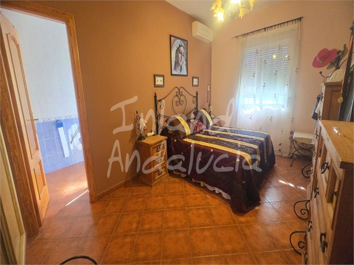 Image No.12-Maison de 3 chambres à vendre à Alcaucín