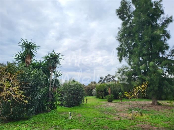 Image No.6-3 Bed Villa for sale