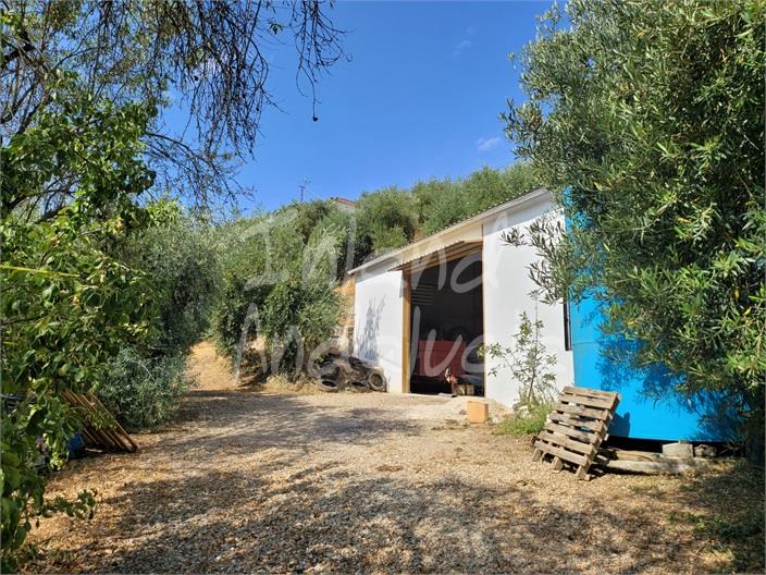 Image No.3-4 Bed Farmhouse for sale