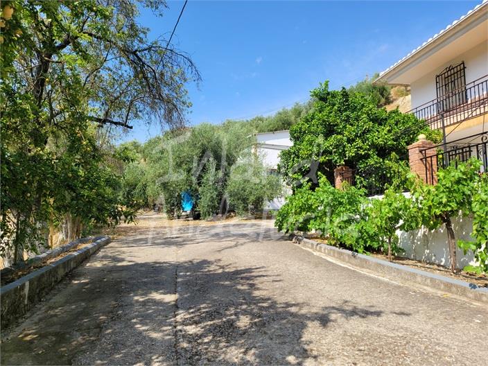 Image No.4-4 Bed Farmhouse for sale