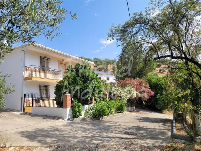 Image No.6-4 Bed Farmhouse for sale