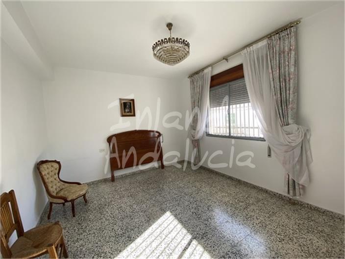 Image No.14-Maison de 3 chambres à vendre à Albuñuelas