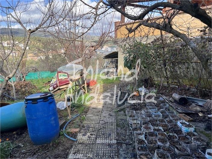 Image No.13-2 Bed Farmhouse for sale