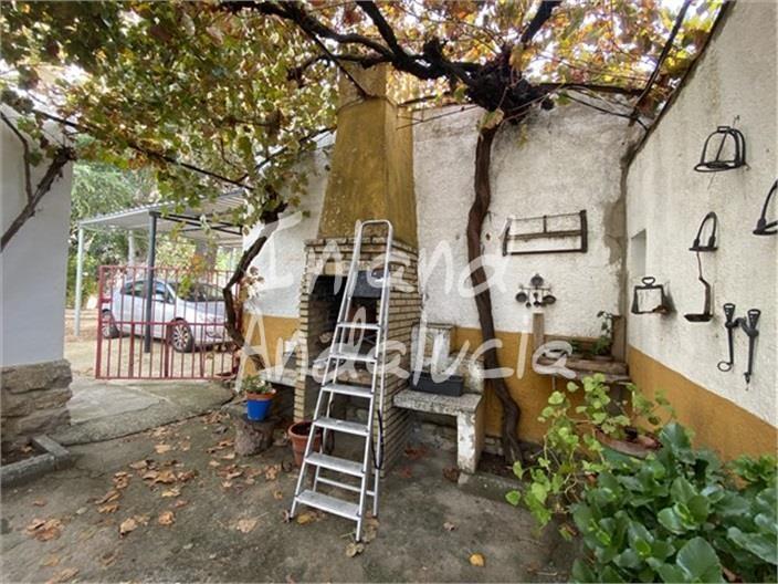 Image No.17-4 Bed Commercial for sale