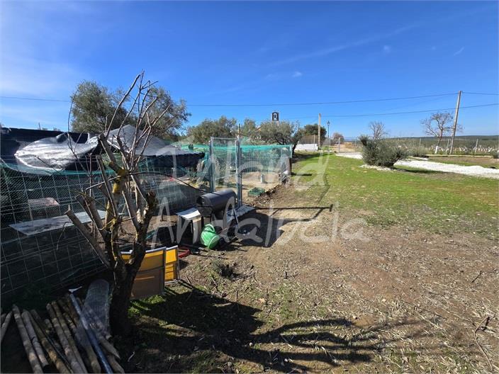 Image No.12-Land for sale