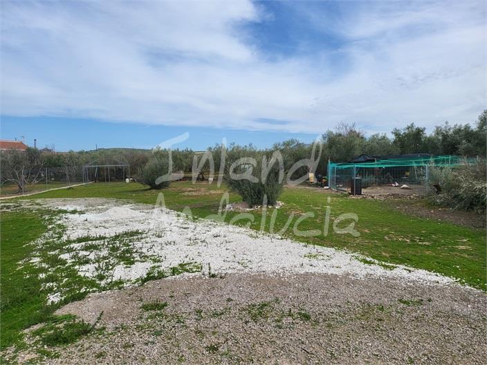 Image No.14-Land for sale