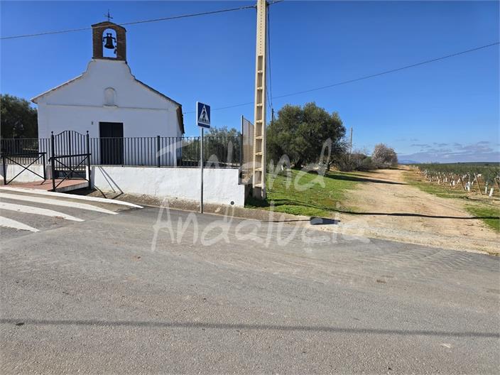 Image No.16-Land for sale