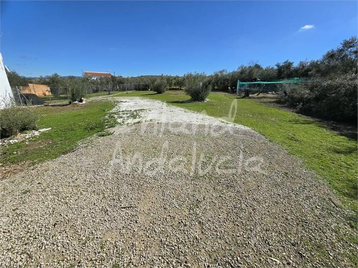 Image No.3-Land for sale