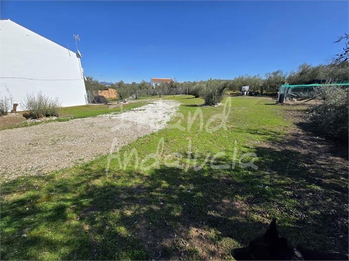 Image No.5-Land for sale