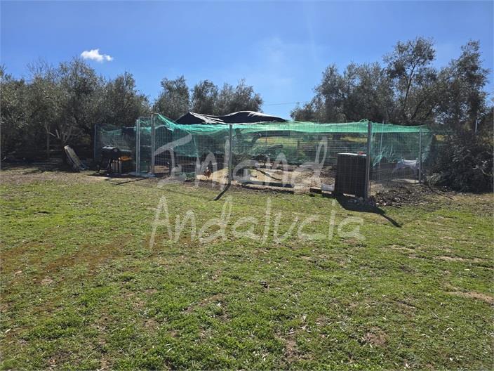 Image No.6-Land for sale