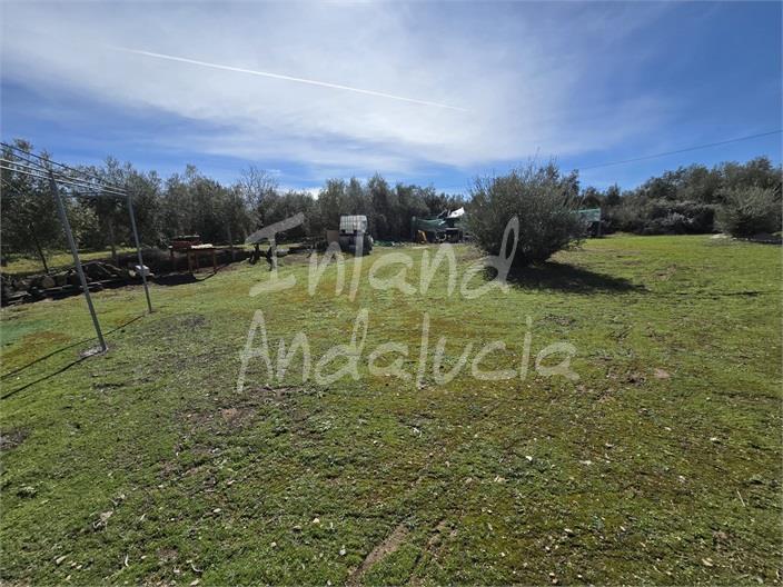 Image No.9-Land for sale