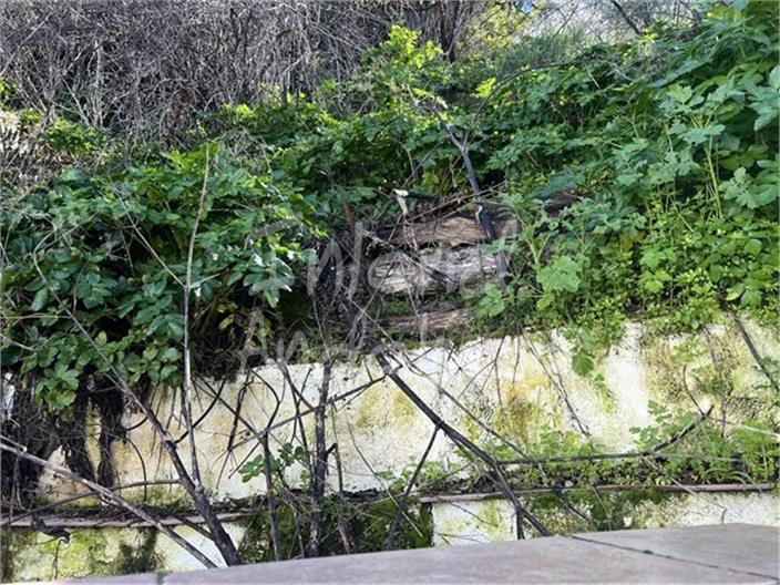 Image No.13-2 Bed House for sale