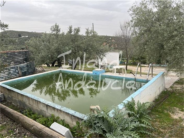 Image No.3-4 Bed Finca for sale