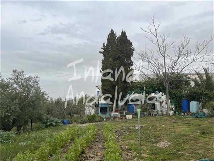 Image No.4-4 Bed Finca for sale