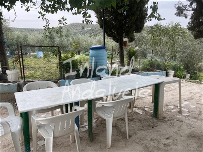 Image No.6-4 Bed Finca for sale