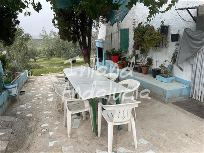 Image No.8-4 Bed Finca for sale