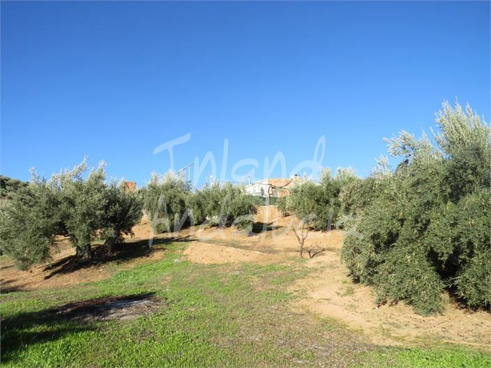 Image No.8-2 Bed House for sale