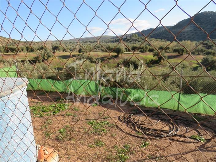 Image No.9-2 Bed House for sale